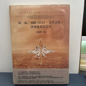 第二届“THE NEXT·文学之新”决赛优秀作品集