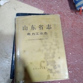 山东省电力工业志