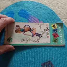 看图识字【6】