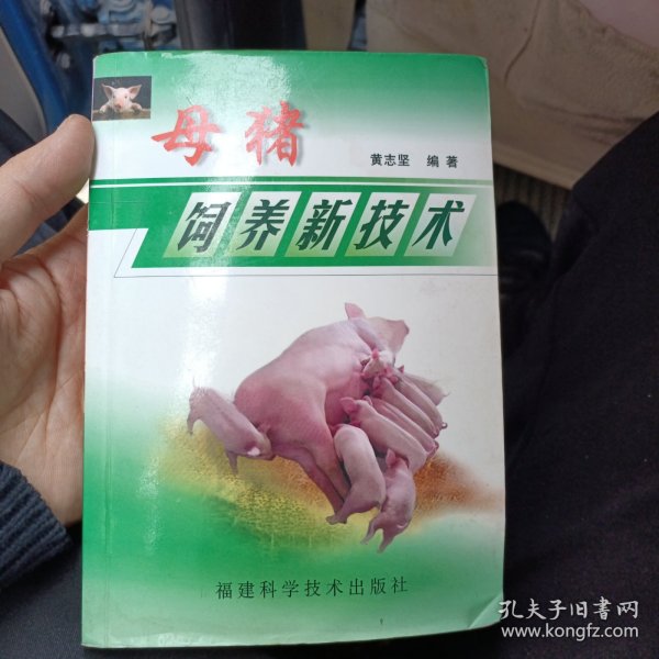 母猪饲养新技术