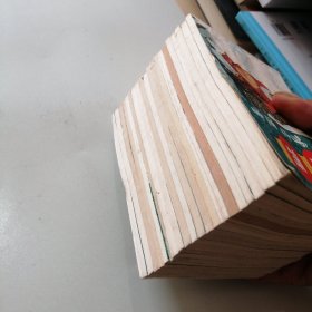 呼家将 连环画20册全