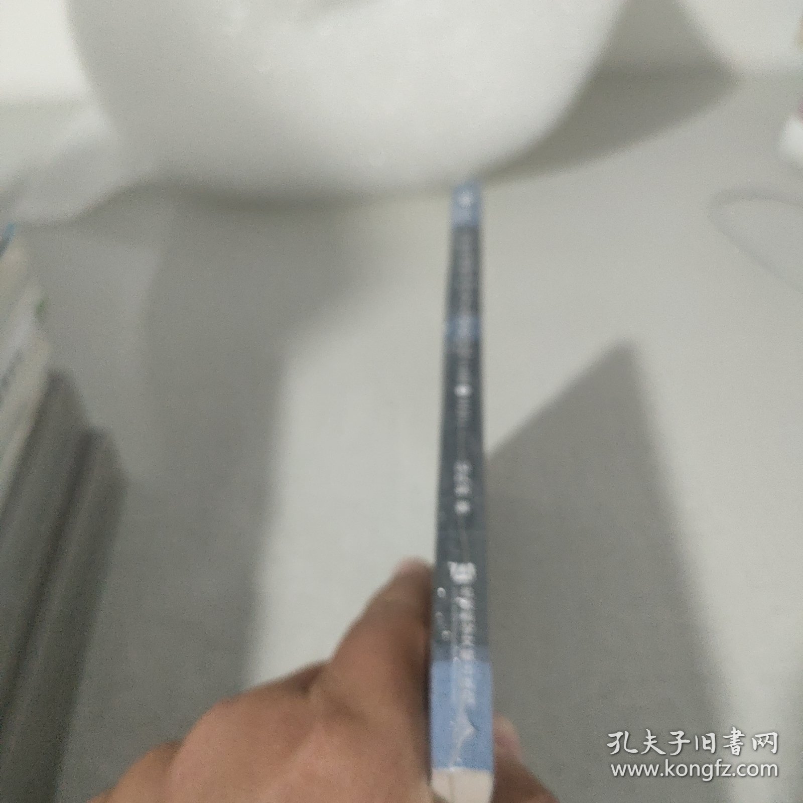 20世纪初期中国文学史编纂研究