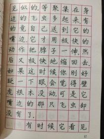 小学语文课本硬笔字帖 （四年级分册）