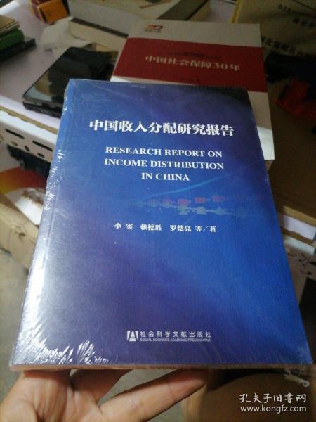 中国收入分配研究报告