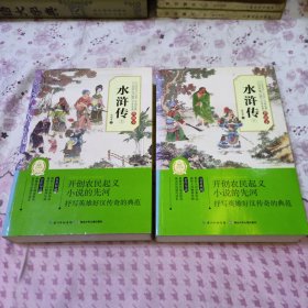 中国经典文学名著：水浒传（上下）（典藏本）