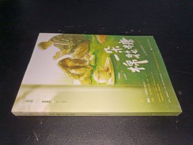 一朵棉花糖