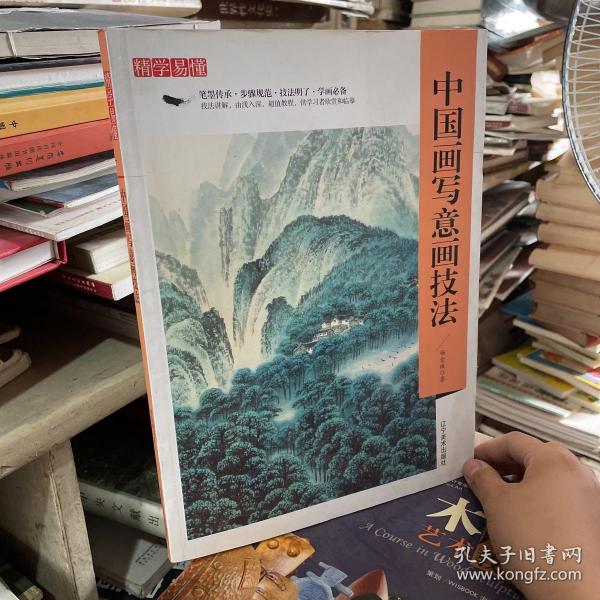 精学易懂：中国画写意画技法