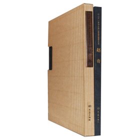 正版新书现货 二十一世纪主流人物画家创作丛书:赵奇 9787534730054 赵奇 绘