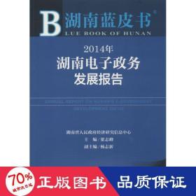 2014年湖南电子政务发展报告