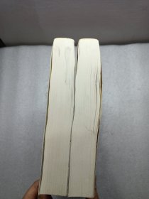 中医证候学（中下册）