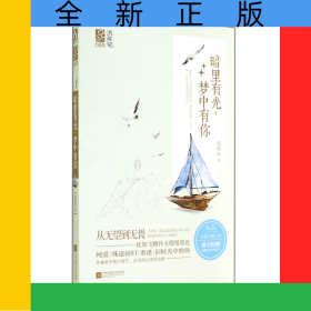 暗里有光夢(mèng)中有你