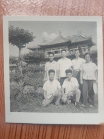 《老照片》1965年代湖大高校学子