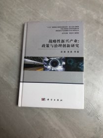 战略性新兴产业:政策与治理创新研究