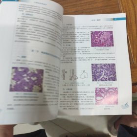 口腔组织病理学
