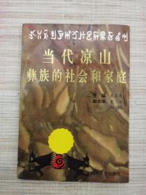 彝族书籍《当代凉山彝族的社会和家庭》彝文书
