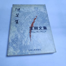 王朔文集 随笔集