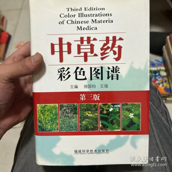 中草药彩色图谱