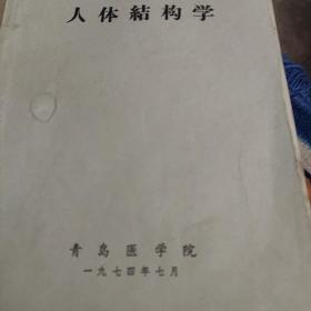 人体结构学