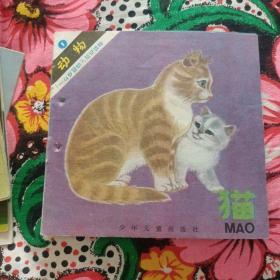 婴幼儿知识读物 猫