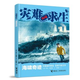 灾难求生：海啸奇迹（儿童小说）