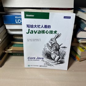 写给大忙人看的Java核心技术   【内页干净】