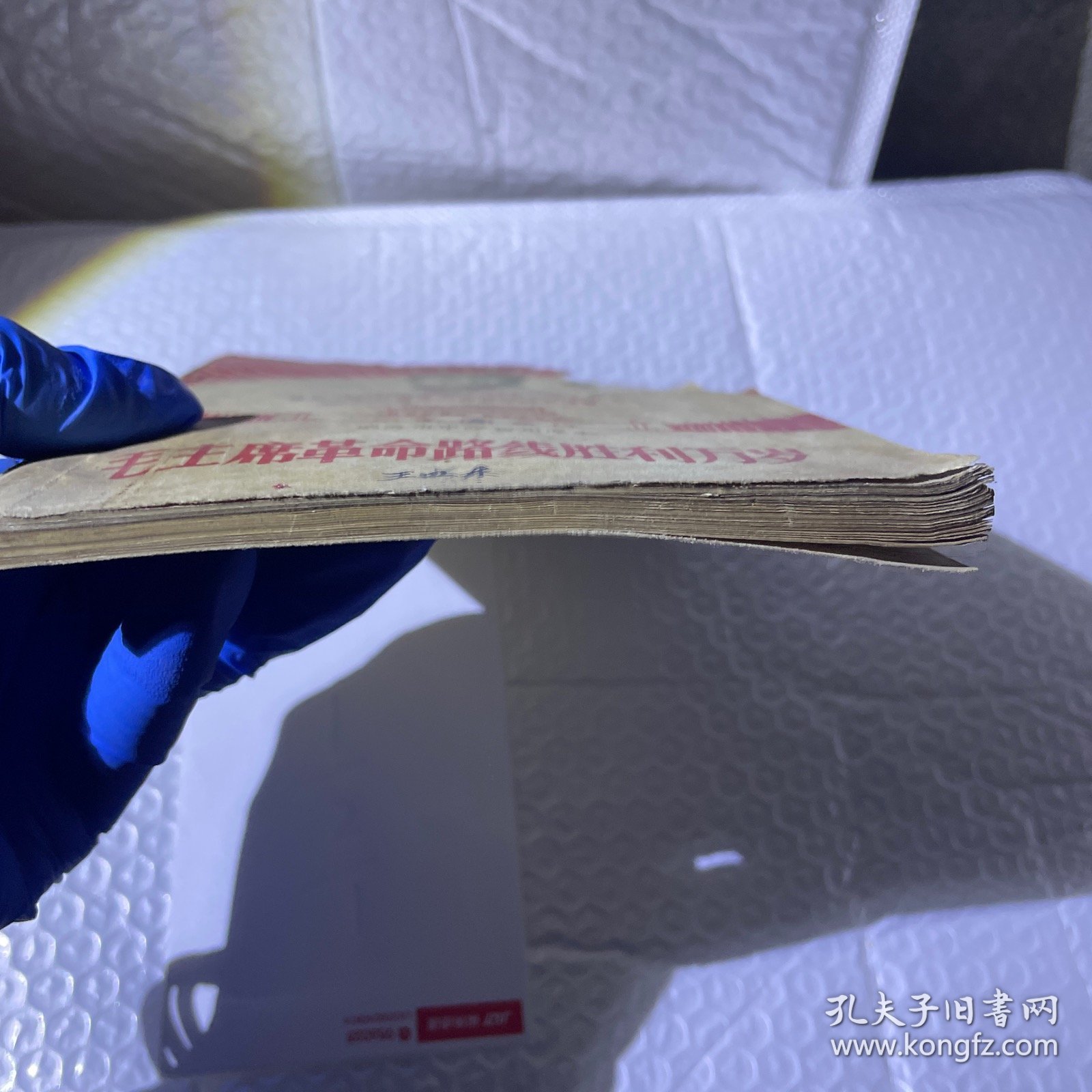 毛主席革命路线胜利万岁