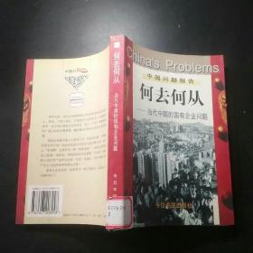 何去何从：当代中国的国有企业问题