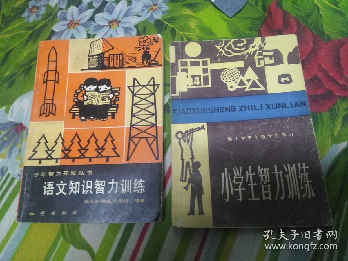 小学生智力训练（供小学五年级学生学习）语文知识智力训练 两本合售