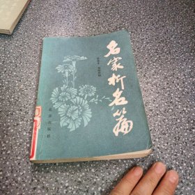 名家析名篇