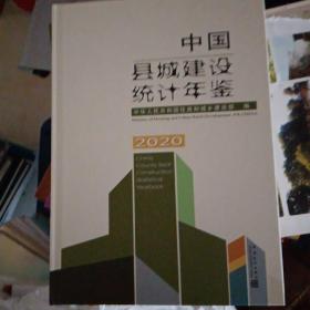 新书2021年中国县城建设统计年鉴-2020开发票