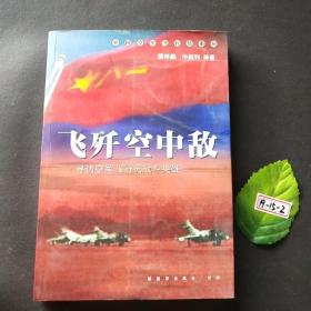 飞歼空中敌：寻访空军飞行员战斗英雄