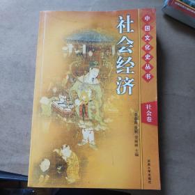 中国文化史丛书:社会经济