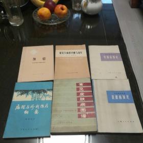 《肿瘤》1975年，《常见头痛的诊断与治疗》1975年《胃肠病知识》1970年《病理与诊断治疗纲要 》1974年《常见皮肤病图谱》1978年1版1印，《肾脏病知识》 1974一版一印【均为原版旧医书】6册合售