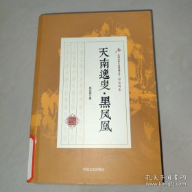 天南逸叟·黑凤凰/民国武侠小说典藏文库