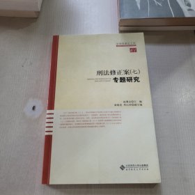 刑法修正案专题研究7