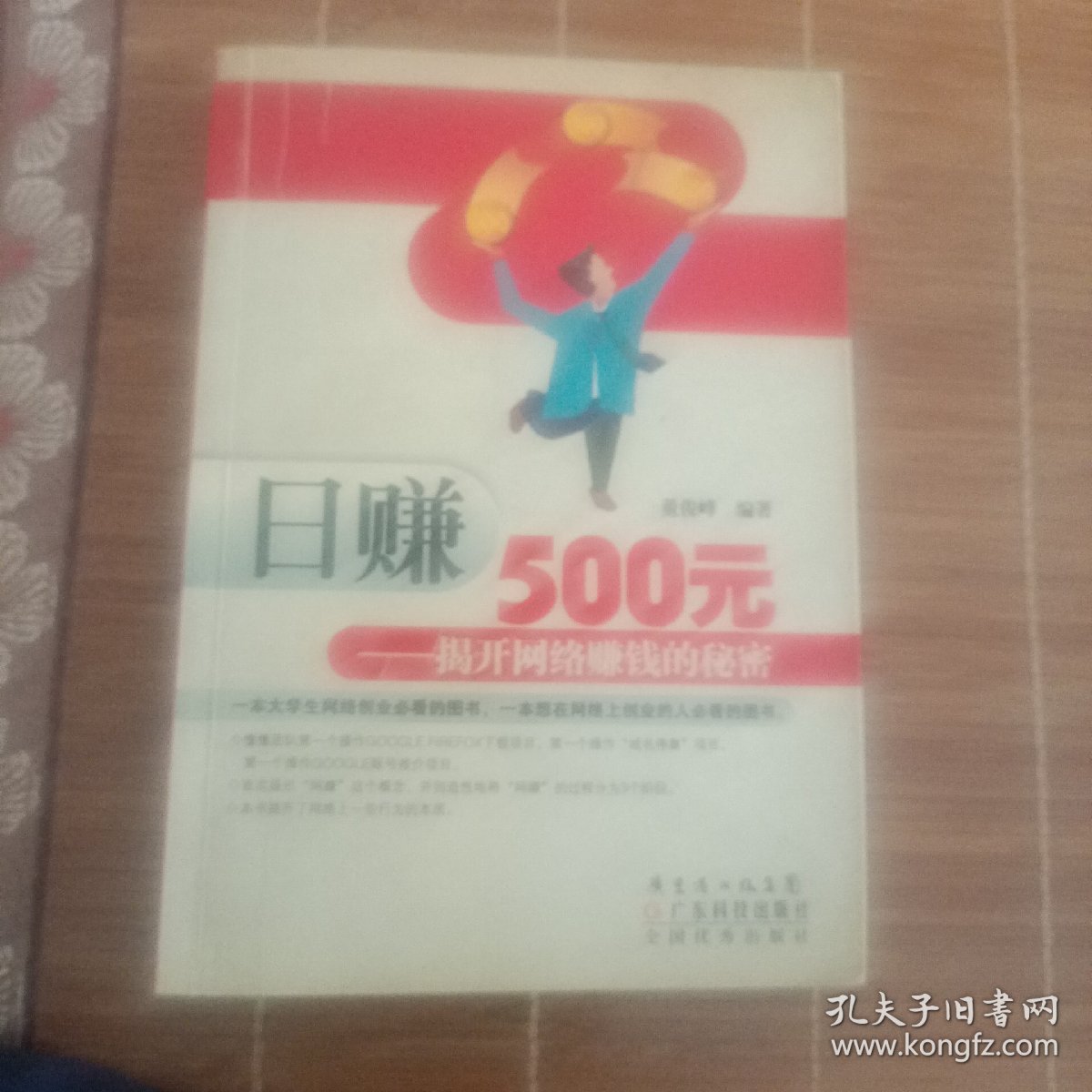 日赚500元：揭开网络赚钱的秘密（修订版）