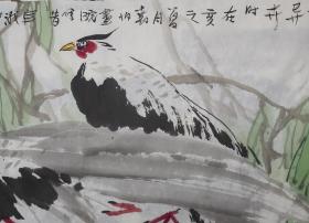 何兆明花鸟画  珍禽异卉