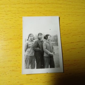 老照片–60年代三个年轻女孩在公园留影（三人服装各异）