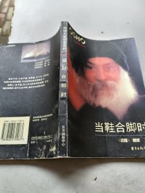 当鞋合脚时：奥修人生箴言系列