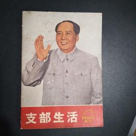 支部生活 革命样板戏画刊