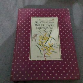 a collection of australian wildflower澳大利亚野花收藏