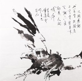 著名画家鞏建成四尺斗方画鹰（无印）