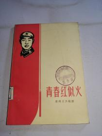 青春红似火 （歌颂王杰组剧）