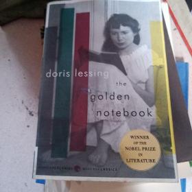 The Golden Notebook：A Novel