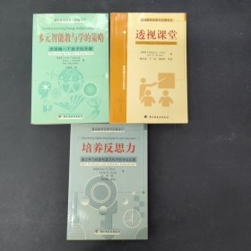 基础教育改革与发展译丛 多元智能教与学的策略 培养反思力:通过学习档案和真实性评估学会反思 透视课堂（3本合售）