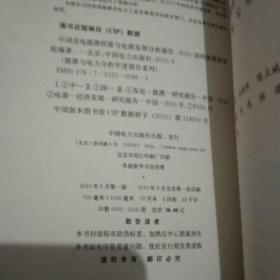 2010中国发电能源供需与电源发展分析报告