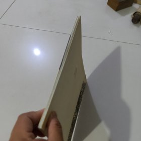 当代山水画精品心解·王镛