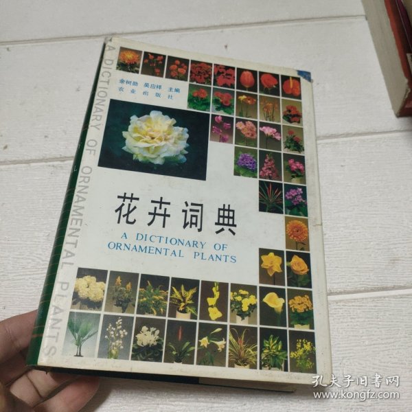 花卉词典【品看图】