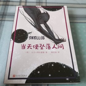 当天使坠落人间（大卫·阿尔蒙德作品集）；10-3-2外架2