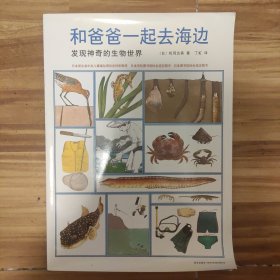 和爸爸一起去海边：发现神奇的生物世界